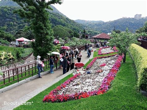 陽明山花葬區|臺北市殯葬管理處